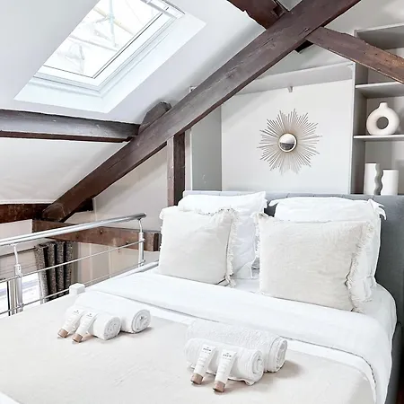 Stylish Duplex In Front Of Buttes-chaumont *