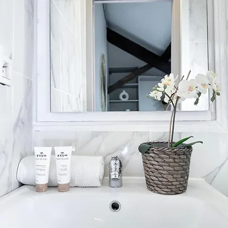 Stylish Duplex In Front Of Buttes-chaumont