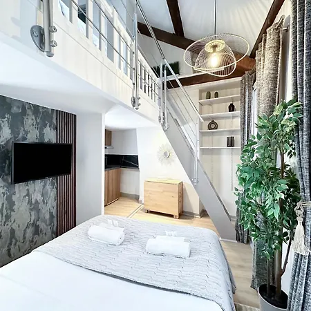 Stylish Duplex In Front Of Buttes-chaumont Apartment Paris