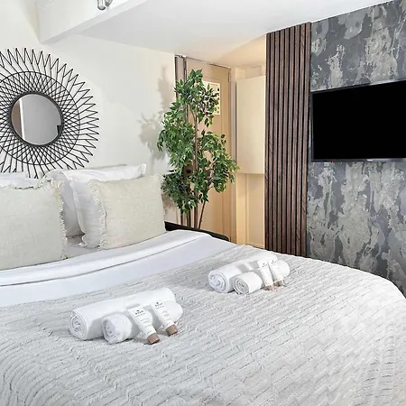 Stylish Duplex In Front Of Buttes-chaumont Paris