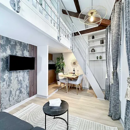 Stylish Duplex In Front Of Buttes-chaumont