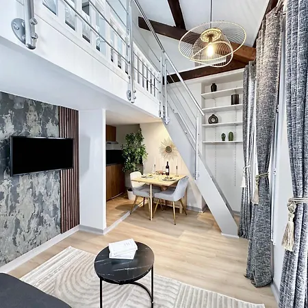 Stylish Duplex In Front Of Buttes-chaumont