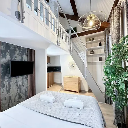 Stylish Duplex In Front Of Buttes-chaumont Paris