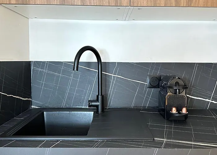 Stylish Duplex In Front Of Buttes-chaumont