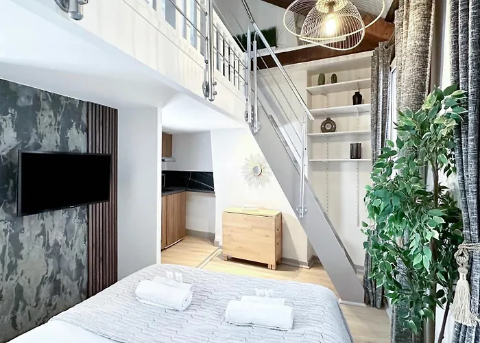 Stylish Duplex In Front Of Buttes-chaumont Appartement Paris
