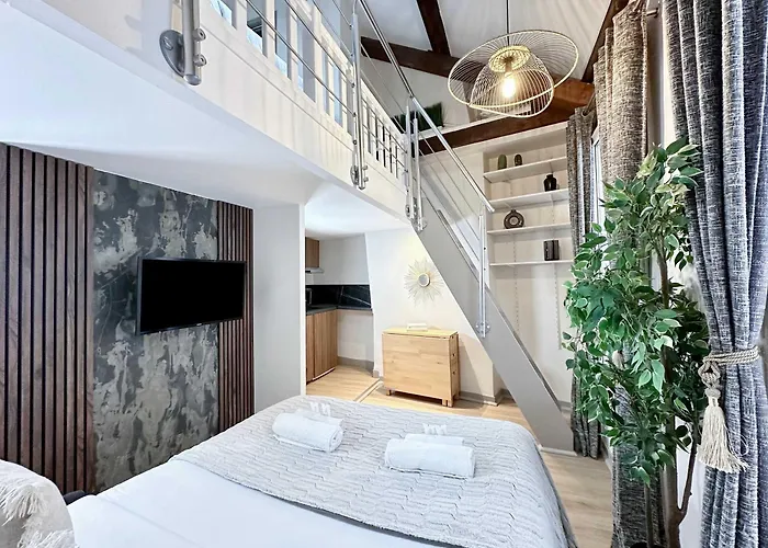 Stylish Duplex In Front Of Buttes-chaumont Paris
